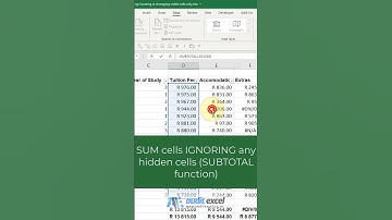 SUBTOTAL function summing only the visible cells