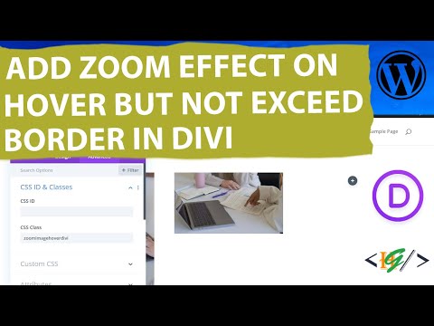How to Add Zoom Effect on Image Hover and Not Exceed Parent Div / Column Borders in DIVI WordPress