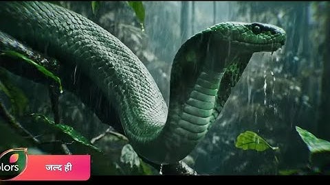 😱 Priyanka Choudhary का Naagin 7 Look LEAK! Shooting Video VIRAL ✨ | Krishan ki telly talk