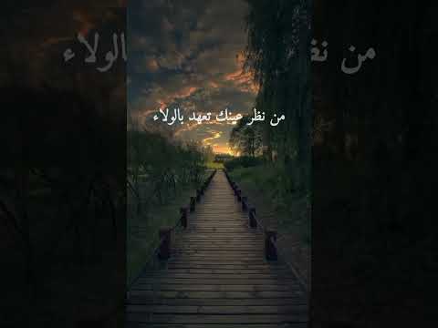 قلبي الي مايطيع المن بغاه طروب