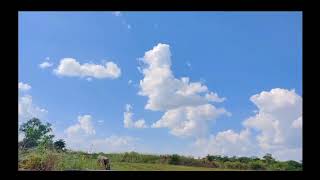 Amazing sky view || village life