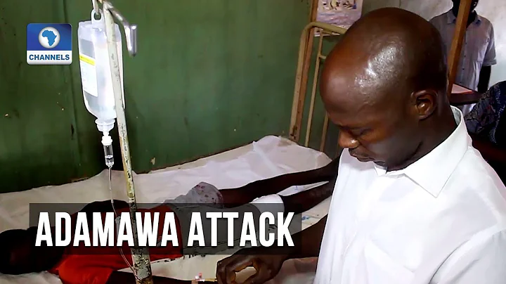 Gunmen Kill Two, Injure Six In Adamawa