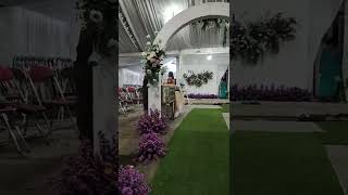 Download Lagu pintu masuk jalan menuju pelaminan penuh bunga #shorts MP3 Download Lagu pintu masuk jalan menuju pelaminan penuh bunga #shorts MP3