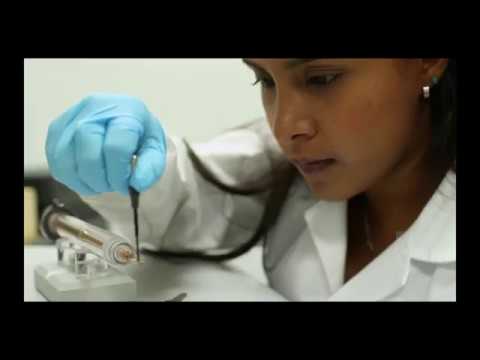 VIDEO INSTITUCIONAL IVICT - YouTube