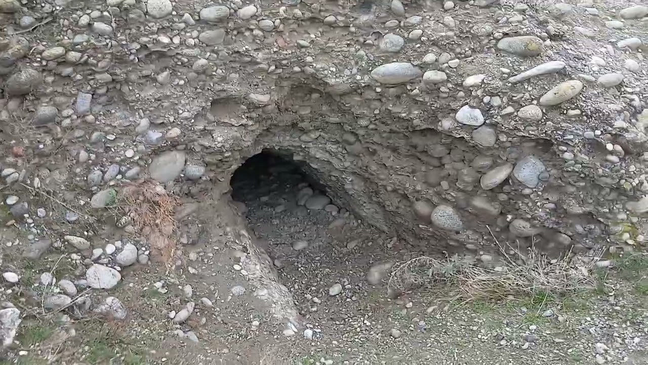 5 марта 2026 г.