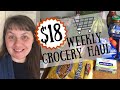 $18 Weekly Grocery Haul- Aldi, Ingles, Discount Grocery