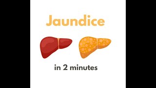 Jaundice in under 2 mins!