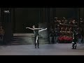 Black Swan Violin Solo From Swan Lake Tchaikovsky Stunning Ballet Performance Black Swan Violin Solo From Swan Lake Tchaikovsky Stunning Ballet Performance