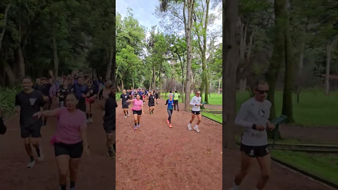 Proyecto ARMONÍA con los chicos del Team Blitz Running y Kathya Mirell 🇲🇽💯🏃🏻‍♀️🏃🏻‍♂️