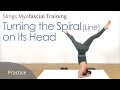 Turning the spiral line on its head  training fascia with karin