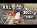 1m Eichenstamm zu Brettern sägen!! Mit DIY Sägewerk