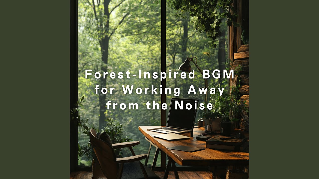 Still Shadows Over Sunlit Stones