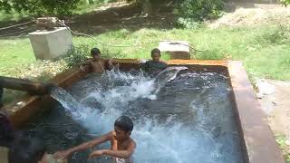 Village life Enjoy... #rahimabad #pakistanvlog #villagelife #zubairvlograhimabad #dailyvlog