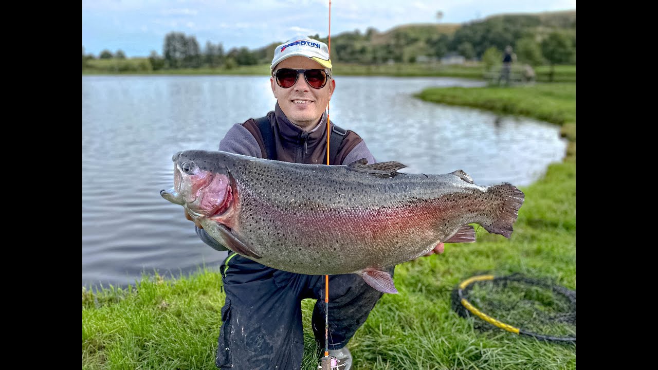 Its Pongo Time!  Vi er i dag i Refsgaard Put and Take