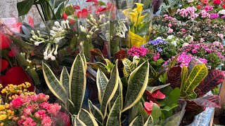 18 Mart 2026 Aydın Nazilli Şfet Örem Mobilya Zera H Bebek