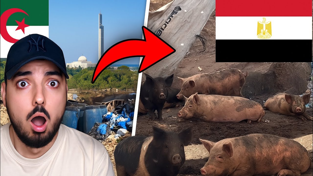 😱 مصر يأكلو لحم الخنزير 🐷