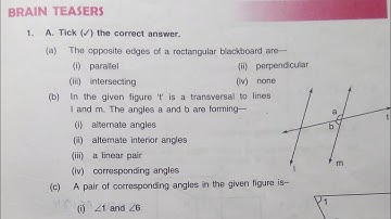 Dav Class 6 Math Chapter 11 Brain Teasers || Transversal And Pairs Of Lines || @madhubanclasses