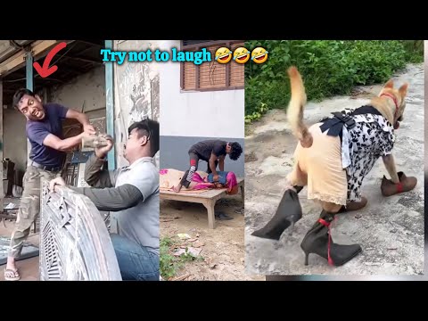 Top New Comedy Video Amazing Funny Video 2025🤣 Try To Not Laugh Funny Vide.. ( @Busy Fun Ltd )
