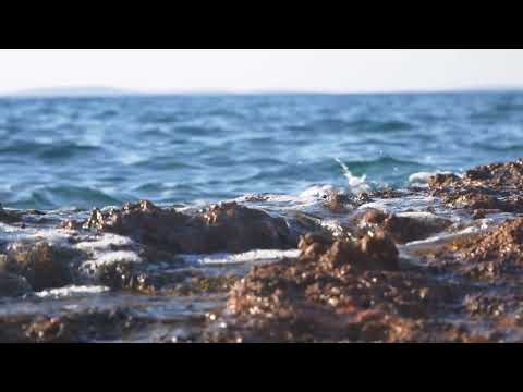 Mediterranean rocky shore, tracking shot slow motion | Free stock footage
