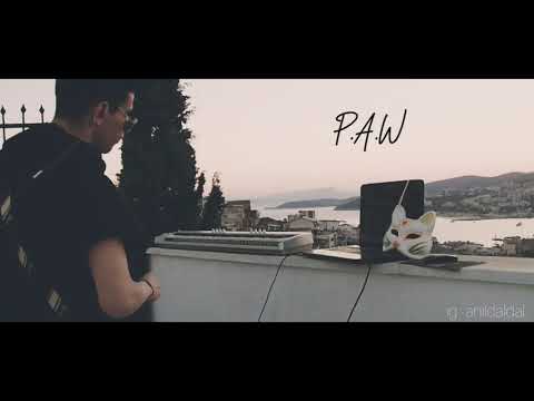 Ａｎıｌ Ｅｍｒｅ Ｄａｌｄａｌ － Ｃａｔ Ｉｎ ｔｈｅ Ｈｏｕｓｅ ， Ｅｐｉｓｏｄｅ ： １ | Ｐ．Ａ．Ｗ