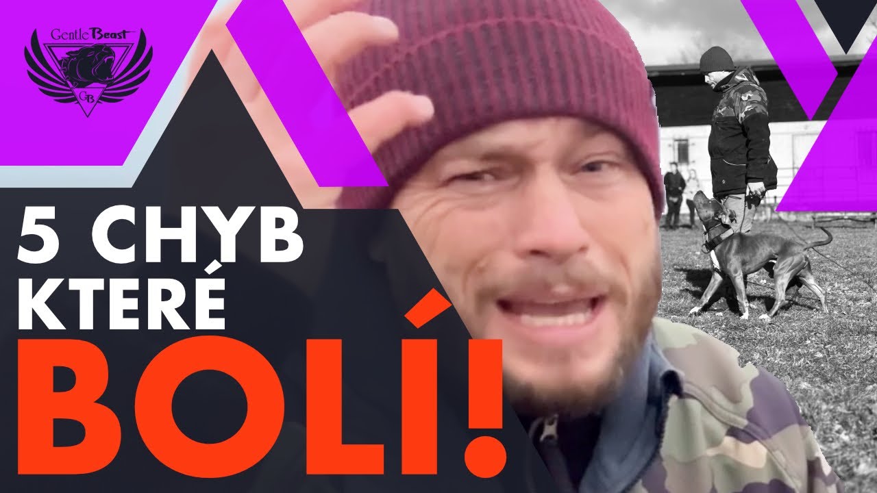 5 CHYB, KTERÉ BRZDÍ VÝCVIK PSA - ČASTO O NICH ANI NEVÍTE!