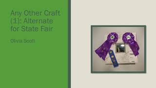 2020 4-H Fair - Crafts Results