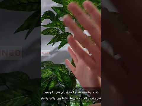 طول ما انت بتفكر بالطريقة دي عمرك ما هتكون غني 