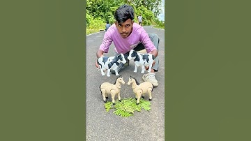 Remote Control 4 Ta Cow And Horse Unboxing 😱 #animals