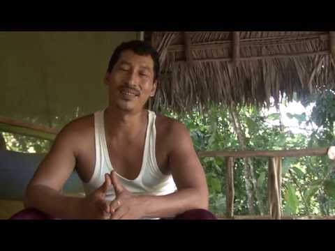 Amaru Spirit (Iquitos, Peru) - the interviews