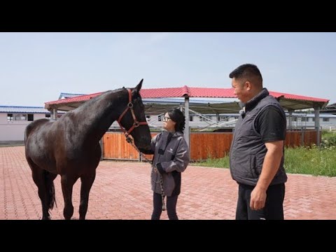 Хозяйка небесных скакунов: Новая глава в конной индустрии