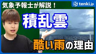 気象予報士は雲を見て天気が分かる？ 小学生の質問に容赦なく気象予報士が答えてしまった！