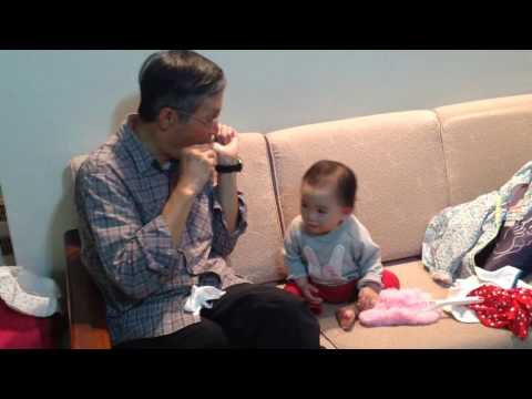 20160414阿公吹口琴（蝴蝶）