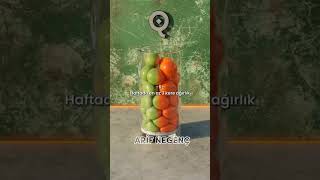 Kardeşi̇mi̇n Hayatini Deği̇şti̇ren 7 Güçlü Kural Şfet