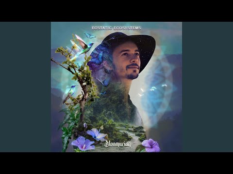 YouTubeでEcstatic Ecosystemsを視聴 YouTubeでEcstatic Ecosystemsを視聴