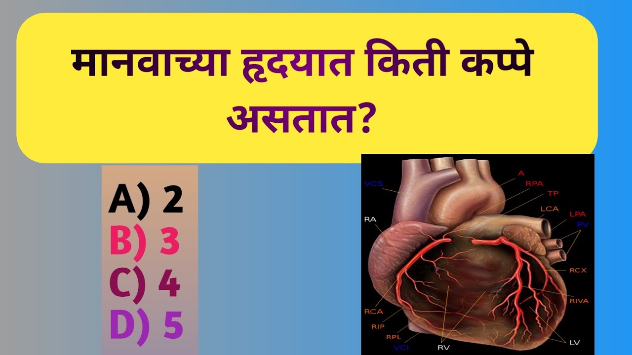सामान्य ज्ञान यावरील GK Question | GK Question on General Knowledge | Smart GK मराठी