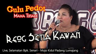 Gulu Pedot/Mama Tunami-Reog Setia Kawan/Hajatan P Senari-Mojo Lor Padang Lmj