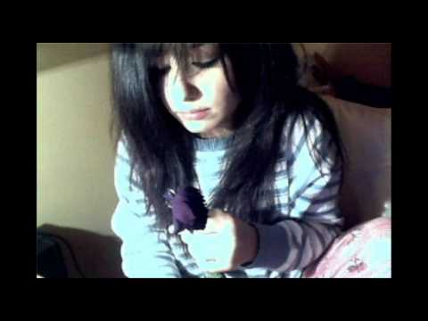 Eutanasia cardíaca - May
