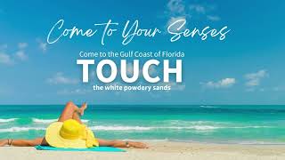 Come To Your Senses On Anna Maria Island