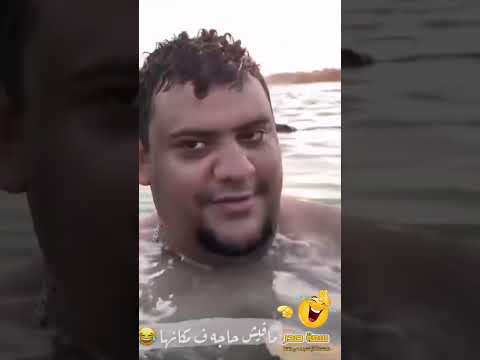 أبو ريان ما فيش حاجة في مكانها