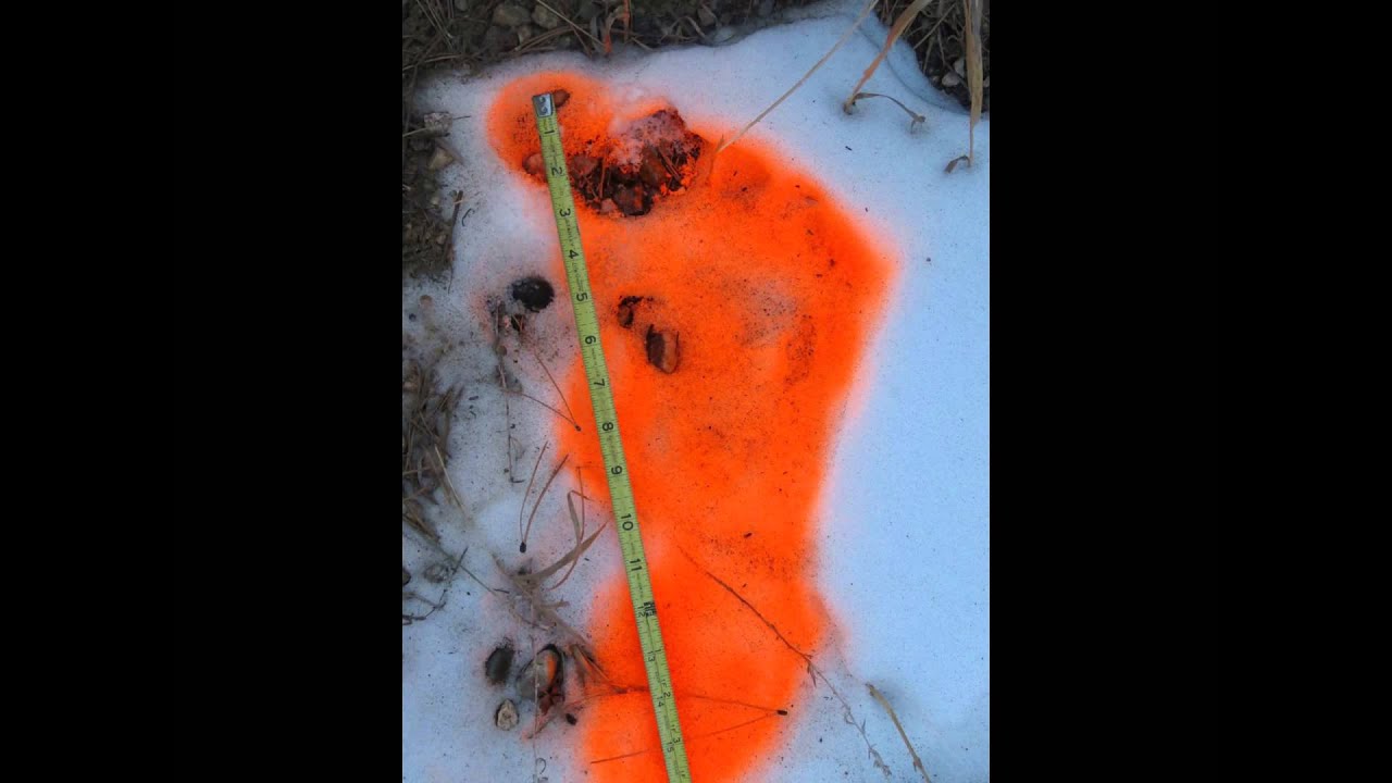 Ken Collins Estespark Colorado Youtube 