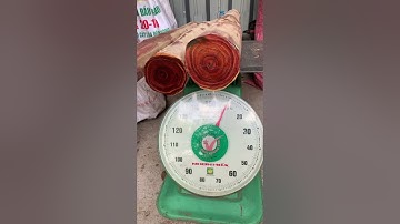 GL 3 trắc dây krôngpa đặc tịt vân veo cực víp kt cân nặng trong vd ace nào thiện chí lh 0338918991