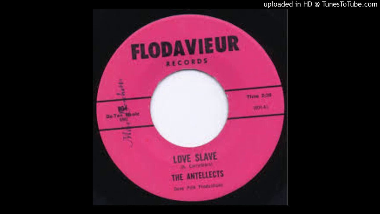 THE ANTELLECTS LOVE SLAVE YouTube the-antellects-love-slave-youtube