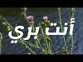 أنت بري ترنيمة بالكلمات You Re My Righteousness By KDEC Youth Lyric Video