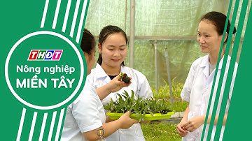 Toàn cảnh Nông nghiệp - 6/12/2025 | Nông nghiệp Miền Tây