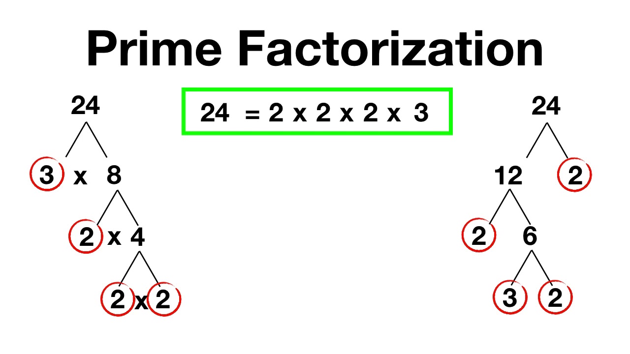 Prime Factorization - YouTube