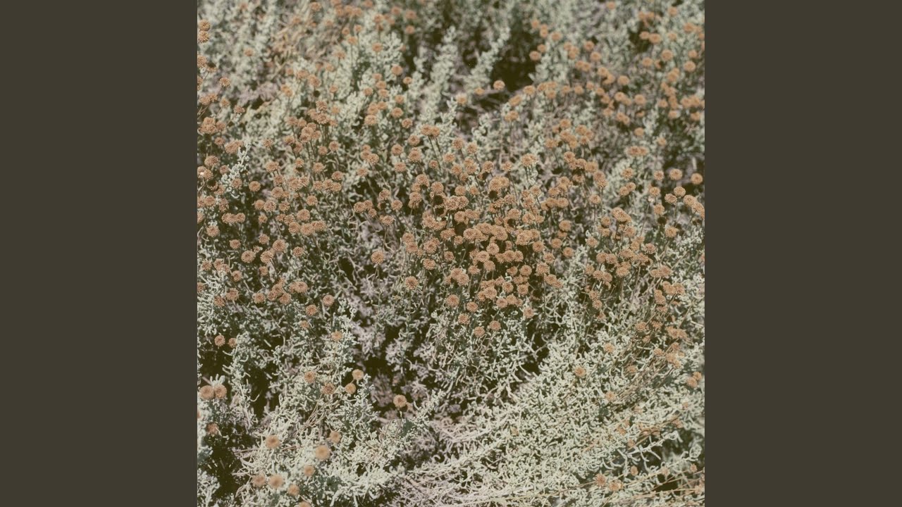 A Mirror For Two Voices