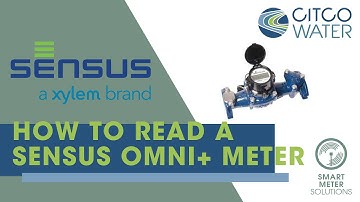 How to Read a Sensus OMNI+ Register