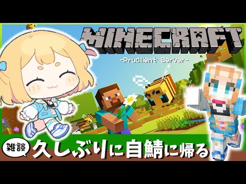 【マイクラ】1.20.5のアプデきた!アルマジロと狼探す!!!!【Vtuber】