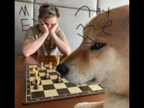 PAWNS ARE OP!!!  FPS Chess 