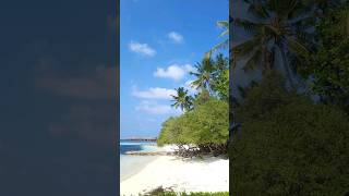 райский остров #мальдивы #maldives